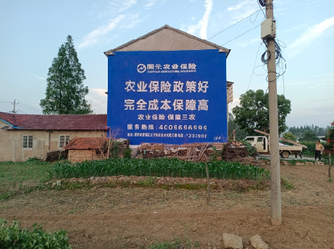 天峨墙体广告为何受追捧？