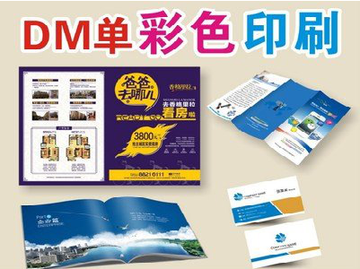 天峨单页印刷，色彩搭配简单。